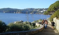 calella with agaves